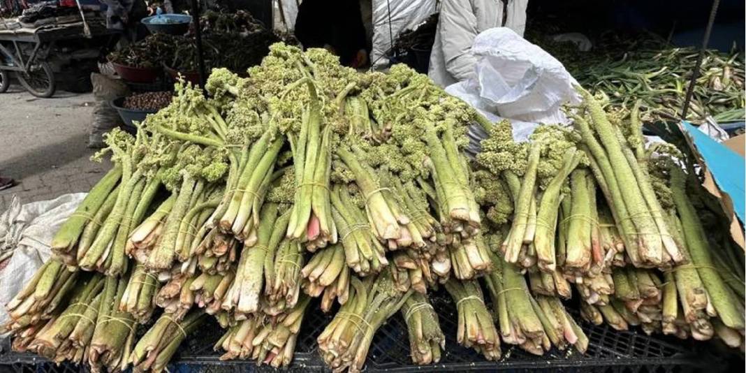 Zorlu coğrafyada kendiliğinden yetişiyor: Pazar tezgahında 150 TL’den satışta! 4